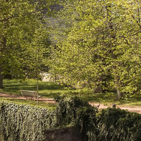 Vlaštovčí Dům Penzion Nové Město nad Metují