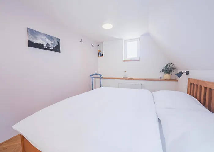 Vlastovci Dum 3* Nové Město nad Metují