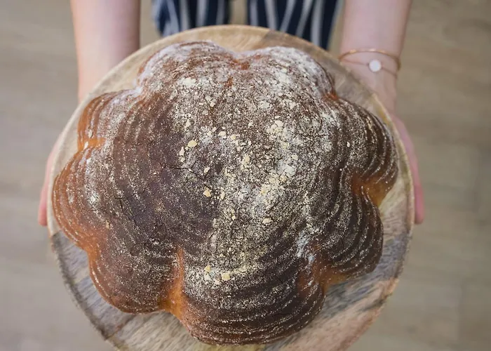 Vlastovci Dum Maison d'hôtes